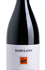 Barbera d'asti docg 2009 Damilano